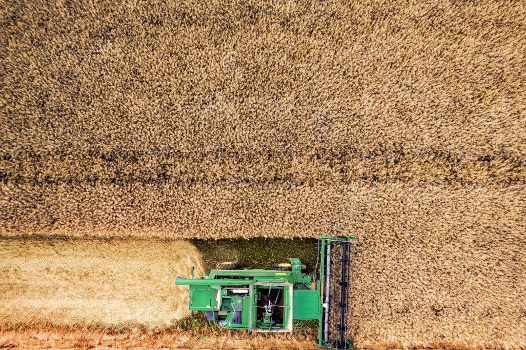 Greenfield Harvest