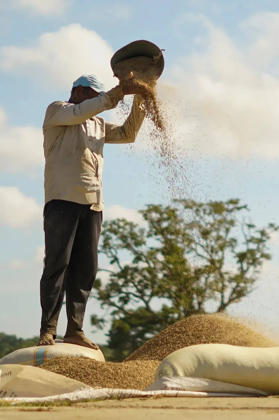 A Look at This Season’s Soil Prep