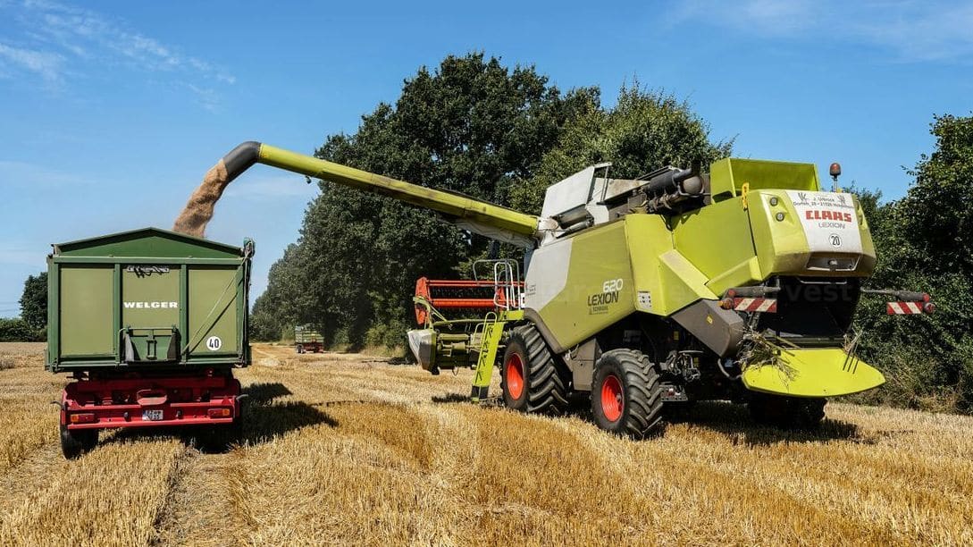 Greenfield Harvest 14