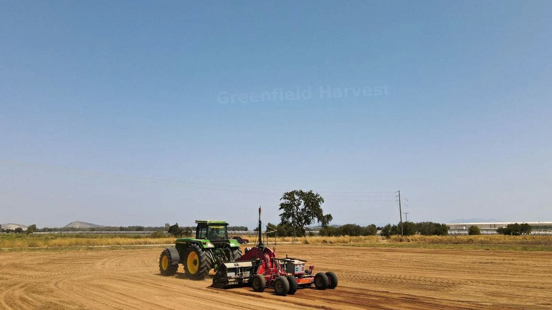 Greenfield Harvest 2