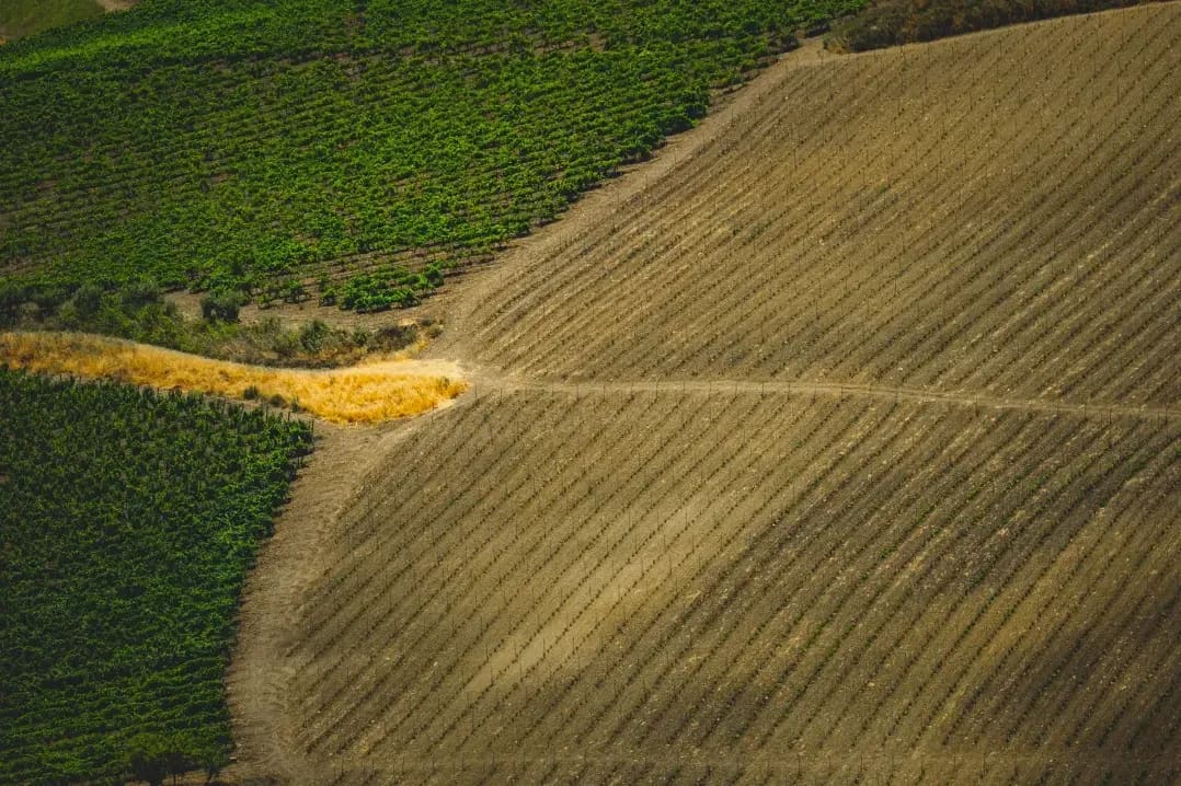 Crop planning and field management